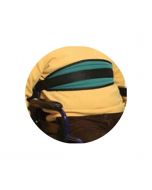 Cintura pettorale di contenimento a scudo