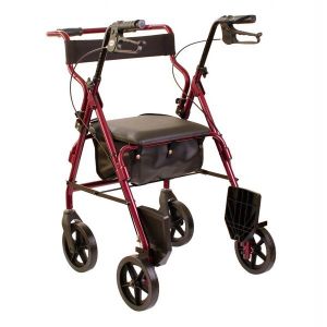 Deambulatore rollator 2 funzioni rolly 2