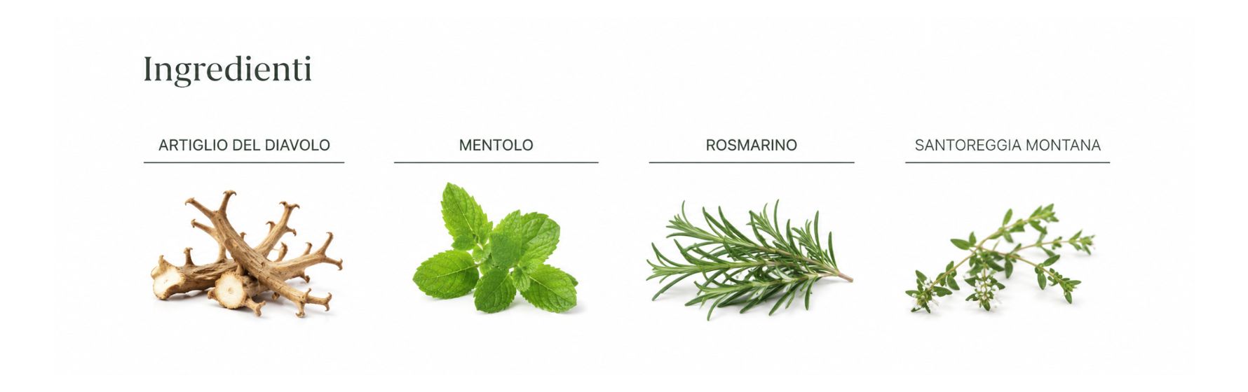 ingredienti-gel-artiglio-diavolo