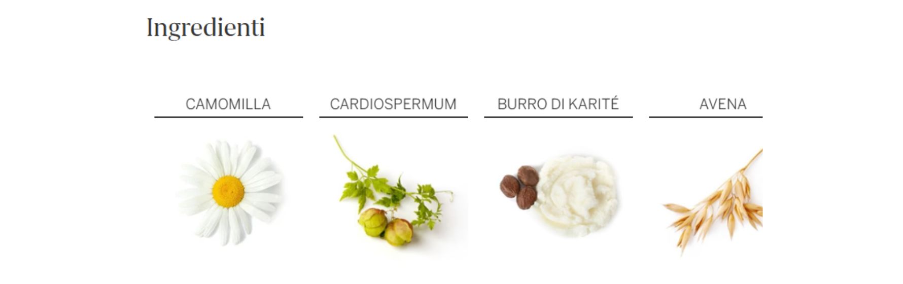 ingredienti-rausch-crema-mani